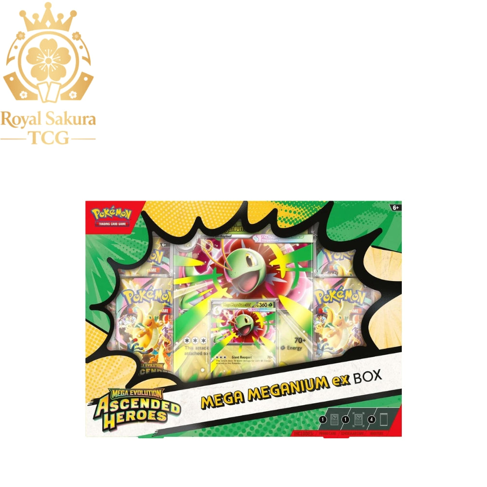 Ascended Heroes Mega Meganium ex Box