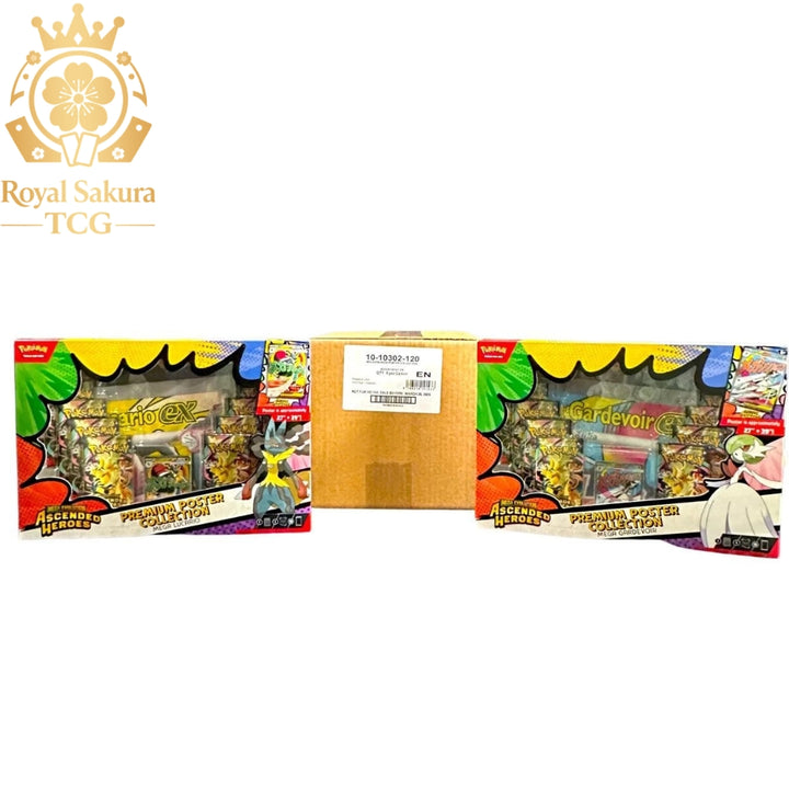 Premium Poster Collection Case