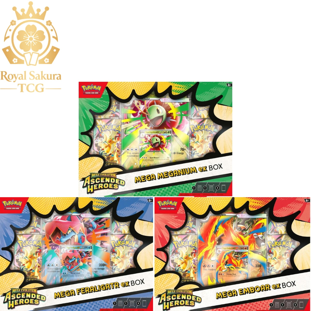 Ascended Heroes ex Box